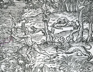 Löwen greifen Menschen an und fressen sie, Illustration aus 